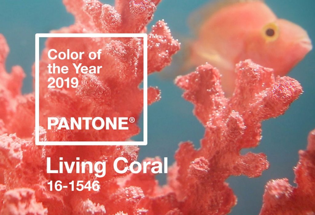 Pantone Colour of the Year 2019: Living Coral in Eyewear